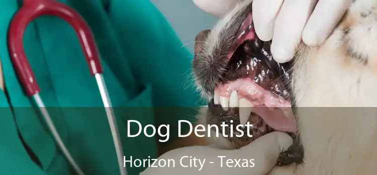 Dog Dentist Horizon City - Texas