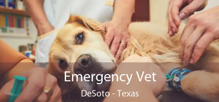 Emergency Vet DeSoto - Texas