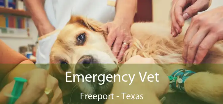 Emergency Vet Freeport - Texas