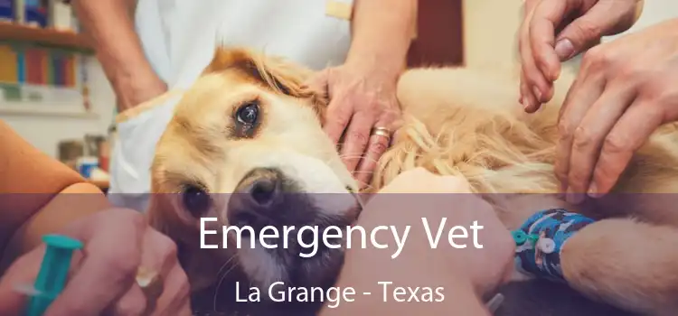 Emergency Vet La Grange - Texas