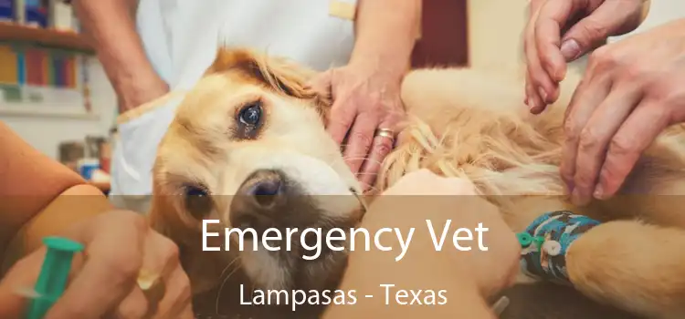 Emergency Vet Lampasas - Texas