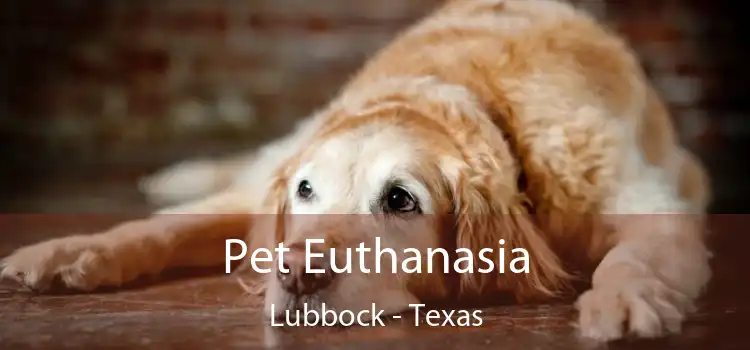 Pet Euthanasia Lubbock - Texas