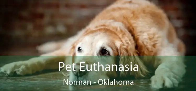 Pet Euthanasia Norman - Oklahoma