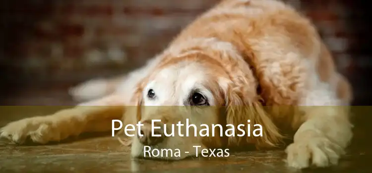 Pet Euthanasia Roma - Texas
