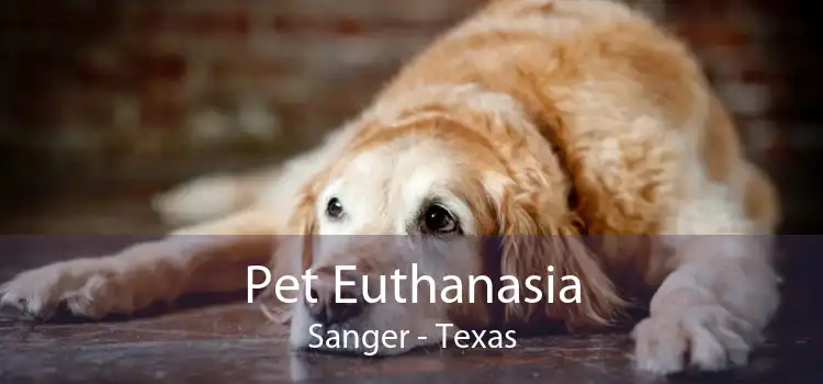 Pet Euthanasia Sanger - Texas